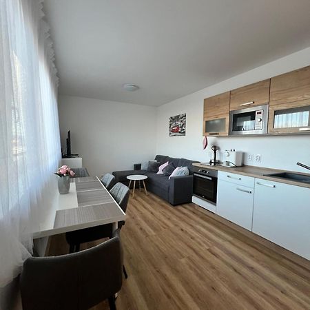 Apartman Roda2 Male Lipno Černá v Pošumaví Exteriér fotografie